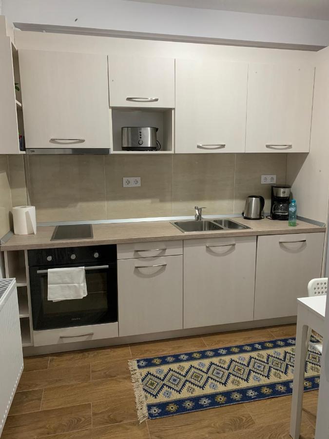 Welcoming Gemini Apartment 1 Sibiu Exteriér fotografie